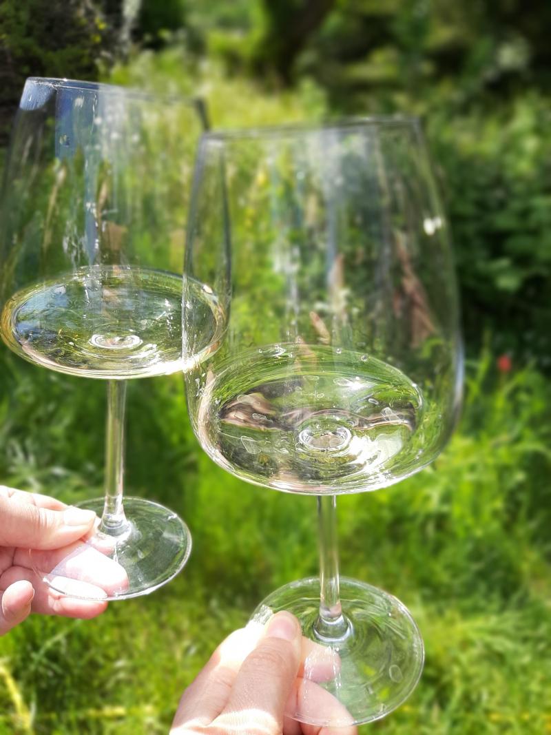 White wines - weekly recommendations - part 1 White wines - weekly recommendations - part 1