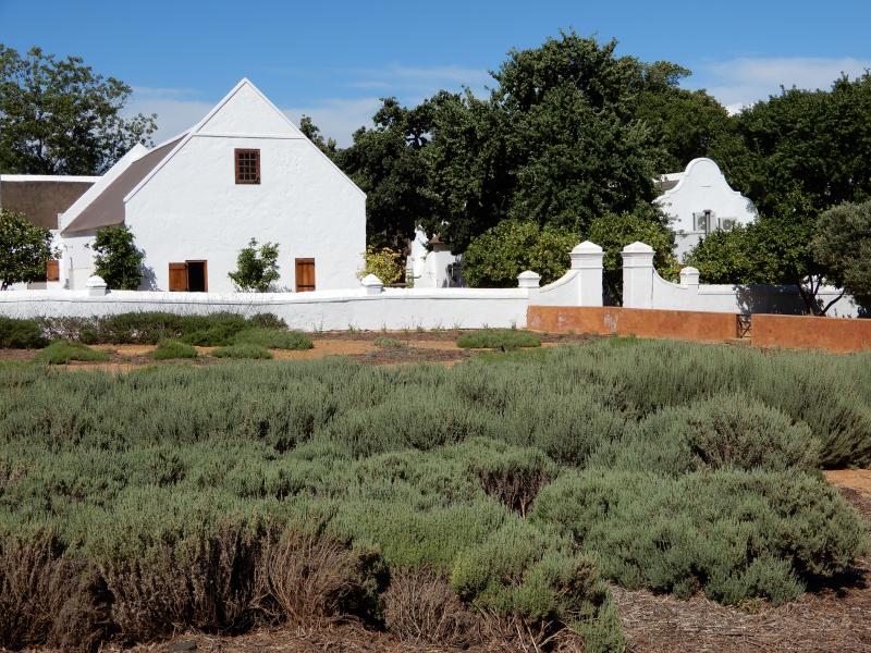 Babylonstoren - beauty and complexity of a wine farm