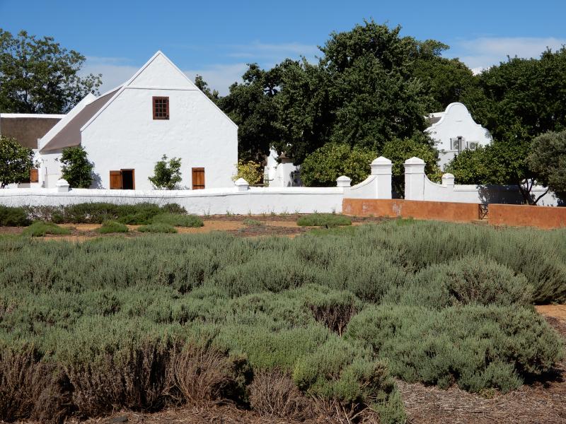 Babylonstoren - piękno i wyjątkowa koncepcja miejsca