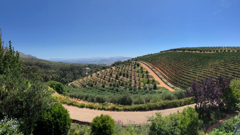 Tokara - visit amazing winery in Stellenbosch Mountians, SA