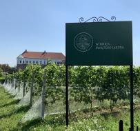 Winnice sandomierskie - zwiedzamy polskie winnice cz. 3