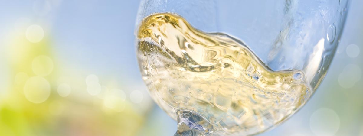 Classic or wild - discover French white wines