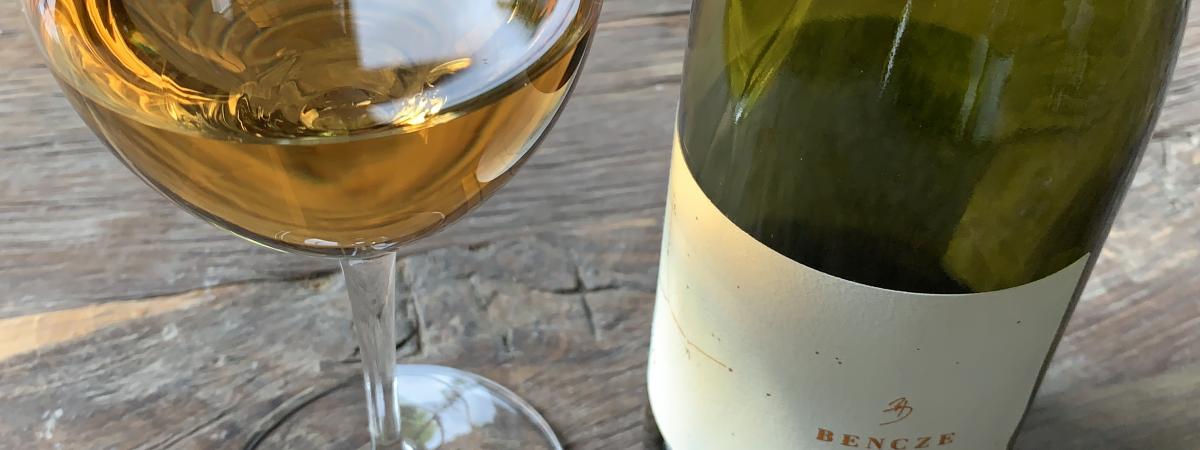 Wszystko o winach pomarańczowych - degustacja Wszystko o winach pomarańczowych - degustacja