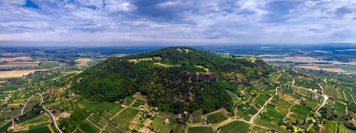 Wina wulkaniaczne (Volcanic wines) Wina wulkaniaczne (Volcanic wines)