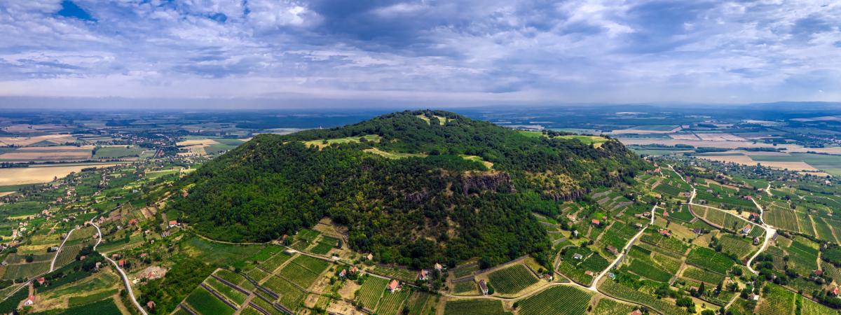 Wina wulkaniaczne (Volcanic wines)