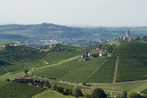 I Vini del Piemonte - interview with Nicola Argamante
