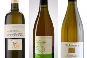 Piemont: czas win białych - Timorasso
